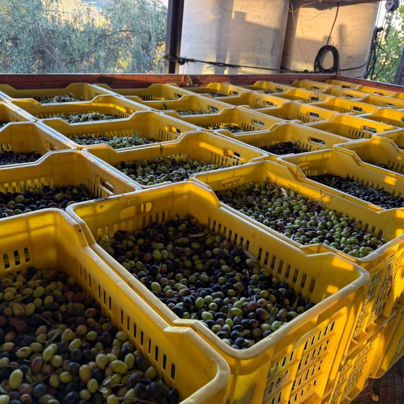 Huile d'olive extra vierge 100% naturelle - 75cl