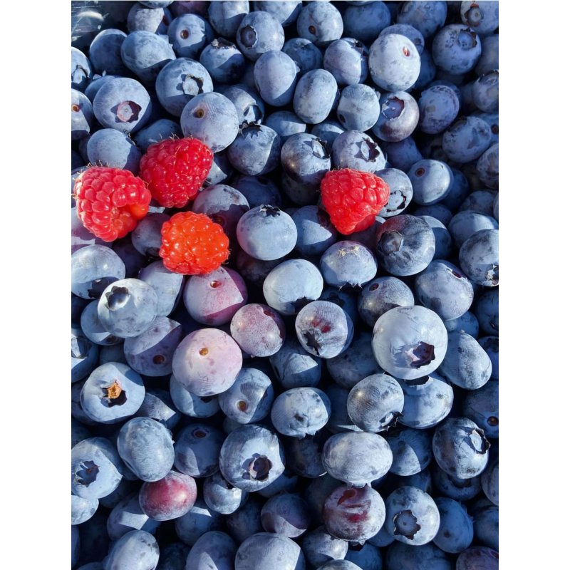 Compotée extra de fruits des bois