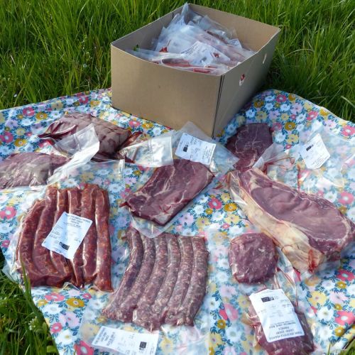Viande bovine - colis grillades - 10 kg 